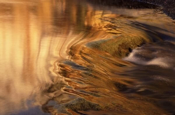 USA, Washington, Manastash River. Golden autumn reflections and patterns on river water