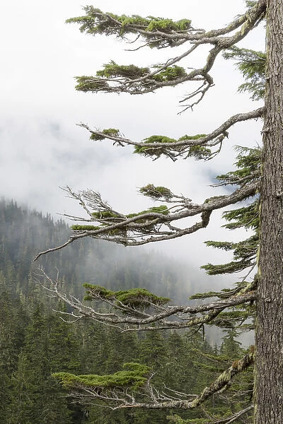 USA, Washington, Mount Rainier National Park