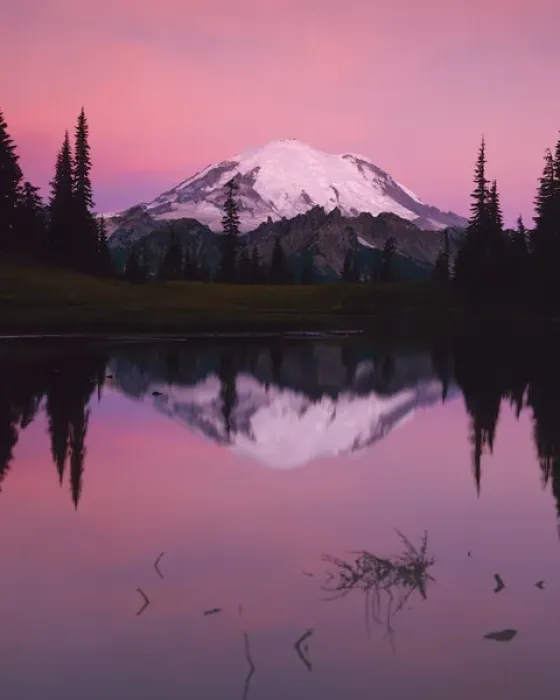 Framed Print : USA, Washington, Mt. Rainier National Park, Dawn at Tipsoo Lake
