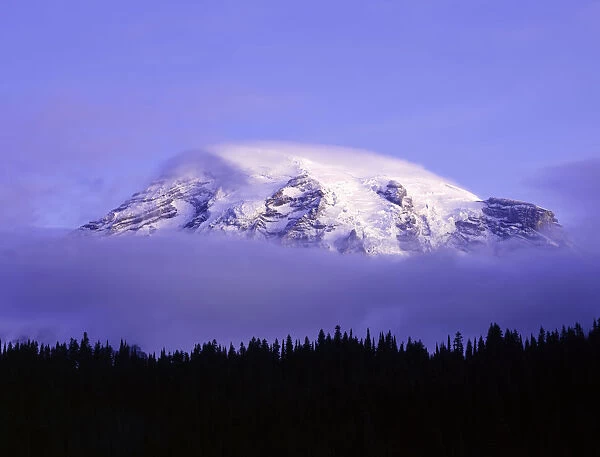 USA, Washington, Mt. Rainier National Park. Clouds on Mt Rainier and forest silhouette