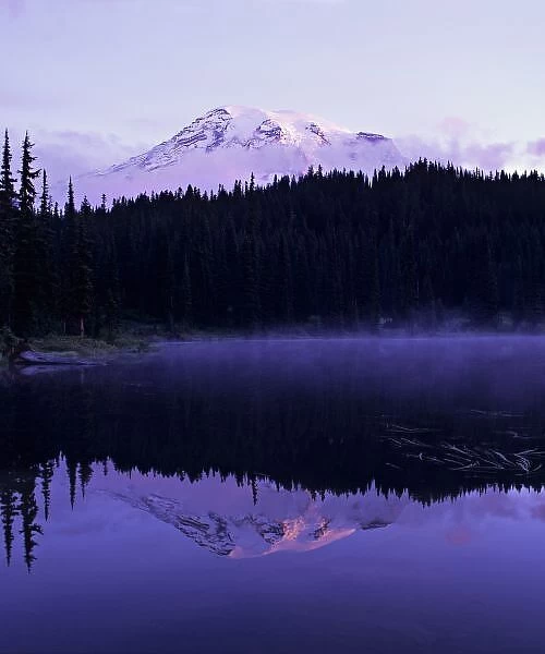 USA, Washington, Mt. Rainier National Park. Winterly pink tones of Mt. Rainier