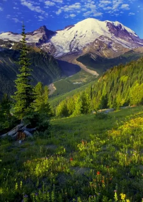 Framed Print : USA, Washington, Mt. Rainier National Park