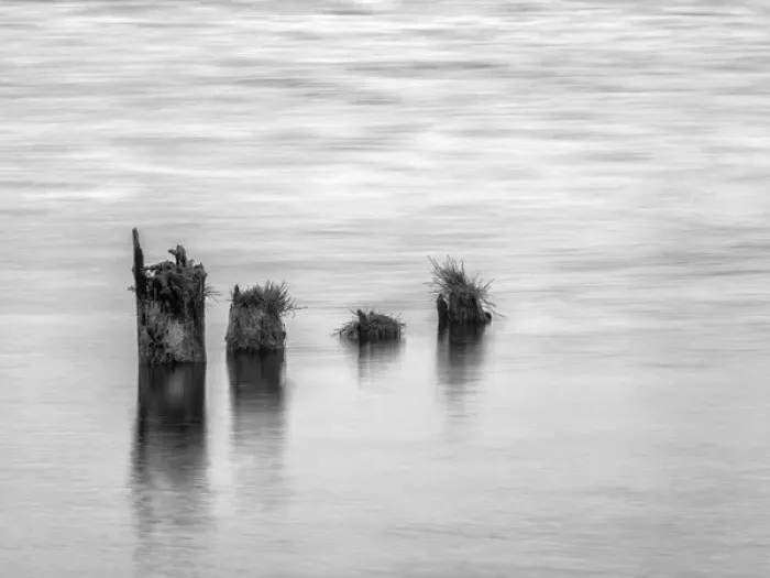 Framed Print : USA, Washington, Old pilings near Cape Disappointment Framed Print : USA, Washington, Old pilings near Cape Disappointment