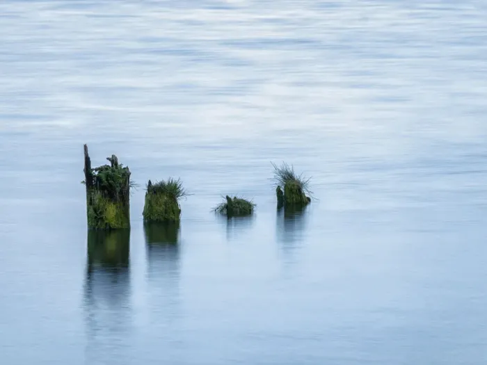 Framed Print : USA, Washington, Old pilings near Cape Disappointment Framed Print : USA, Washington, Old pilings near Cape Disappointment