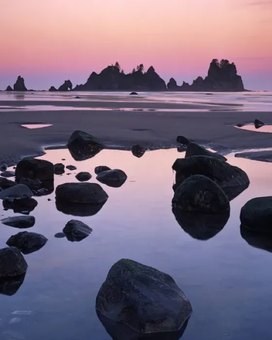 Framed Print : USA, Washington, Olympic National Park, Shi Shi Beach