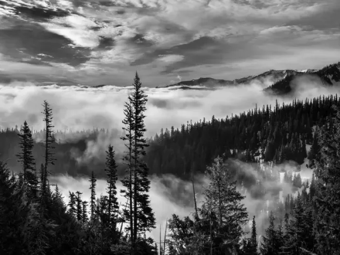 Framed Print : USA, Washington, Olympic National Park, View northeast from road to Hurricane Ridge Framed Print : USA, Washington, Olympic National Park, View northeast from road to Hurricane Ridge