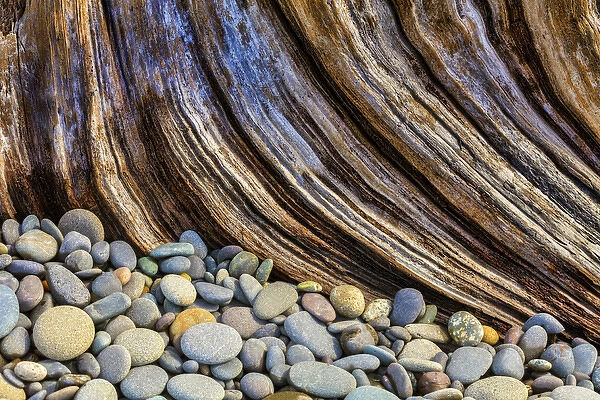 USA, Washington, Olympic National Park. Beach rocks and driftwood
