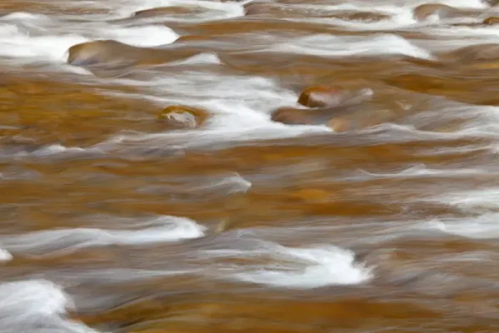 Framed Print : USA, Washington, Olympic National Park. Autumn color reflects in Solduc River. Credit as Framed Print : USA, Washington, Olympic National Park. Autumn color reflects in Solduc River. Credit as