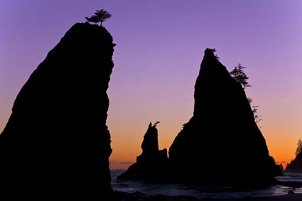 USA, Washington, Olympic National Park. Sunset on Rialto Beach sea stacks. Credit as