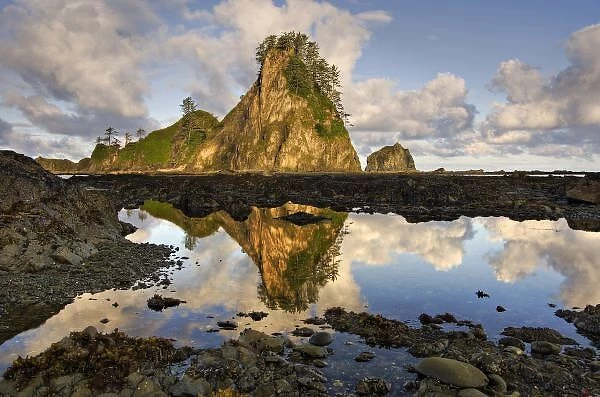 USA, Washington, Olympic National Park. A tidepool shows the reflection of the morning