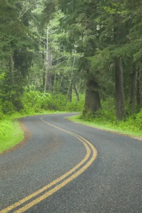 Framed Print : USA, Washington, Olympic National Park, Road Leading Through the Northern Olympic Framed Print : USA, Washington, Olympic National Park, Road Leading Through the Northern Olympic