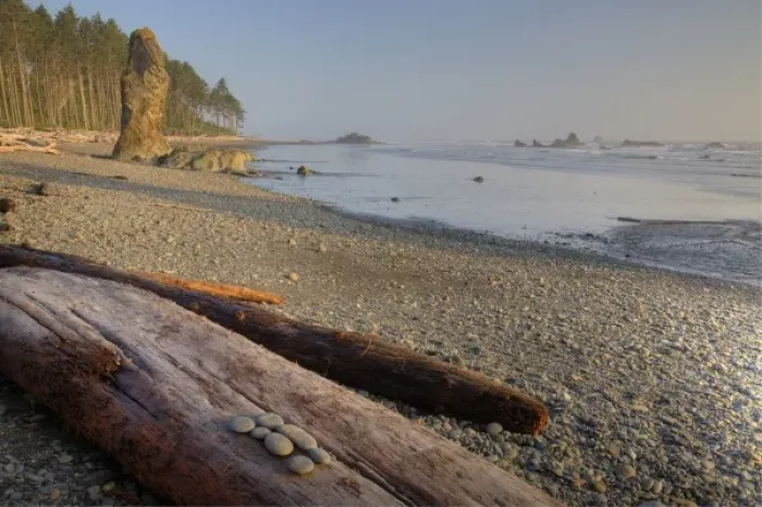 Framed Print : USA, Washington, Olympic National Park, Ruby Beach, Shoreline and Seastacks Framed Print : USA, Washington, Olympic National Park, Ruby Beach, Shoreline and Seastacks
