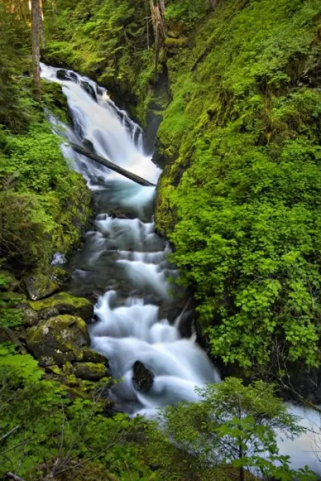 Framed Print : USA, Washington, Olympic National Park. The Sol Duc River Gorge Framed Print : USA, Washington, Olympic National Park. The Sol Duc River Gorge