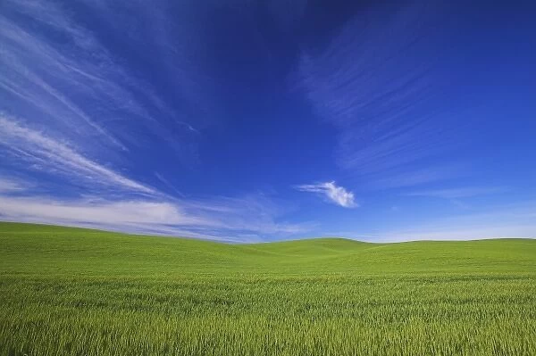 USA, Washington, Palouse Counrty, Rolling Hills of Spring Wheat and Wild Clouds