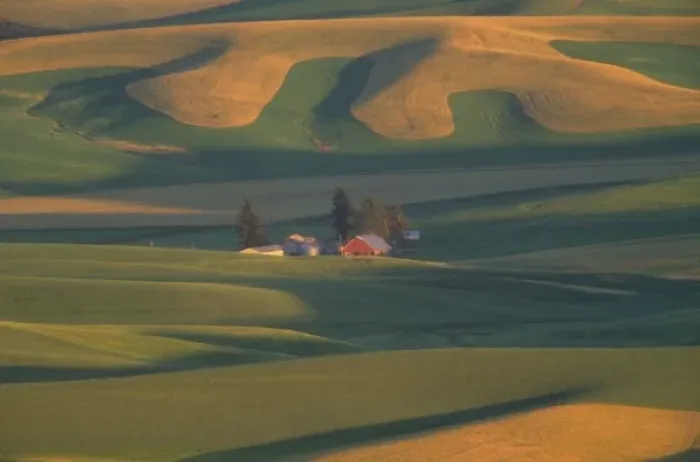Framed Print : USA, Washington, Palouse County, Steptoe Butte. Red barn with rolling green and gold