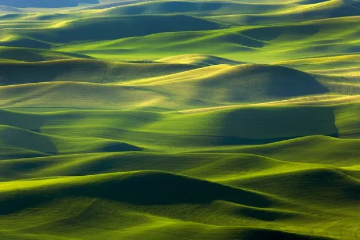 Framed Print : USA, Washington, Palouse Hills. Farmland viewed from Steptoe Butte Framed Print : USA, Washington, Palouse Hills. Farmland viewed from Steptoe Butte