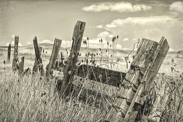 USA, Washington, Palouse Hills. Old wooden fence