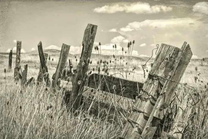 Framed Print : USA, Washington, Palouse Hills. Old wooden fence Framed Print : USA, Washington, Palouse Hills. Old wooden fence