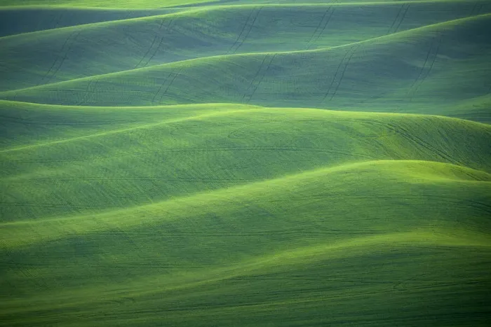 Framed Print : USA, Washington, Palouse. Rolling spring wheat fields Framed Print : USA, Washington, Palouse. Rolling spring wheat fields