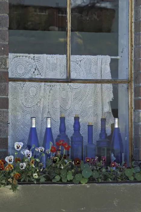 Framed Print : USA, Washington, Palouse. Row of blue bottles and flowers brighten a window sill Framed Print : USA, Washington, Palouse. Row of blue bottles and flowers brighten a window sill