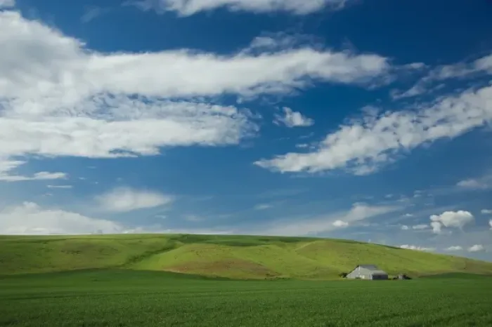 Framed Print : USA, Washington, Palouse. Wheat field in Washingtons rich Palouse farmland