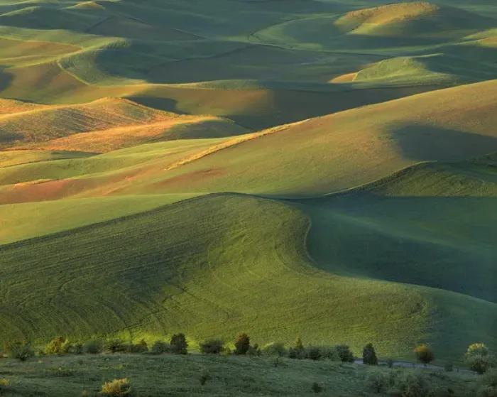 Framed Print : USA, Washington, Palouse, whitman County, Steptoe Butte Framed Print : USA, Washington, Palouse, whitman County, Steptoe Butte