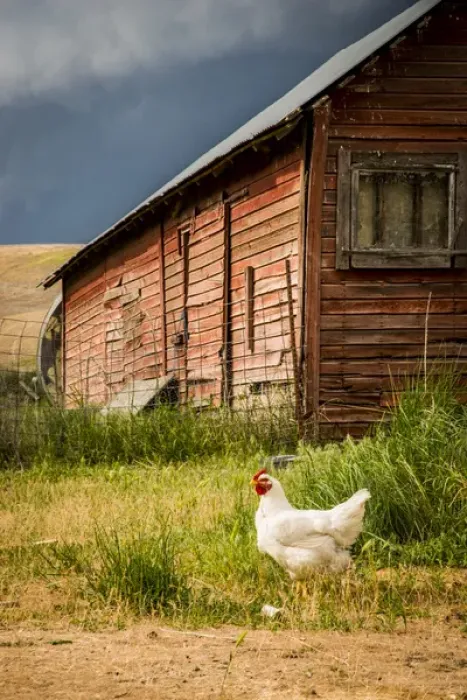 Framed Print : USA: Washington, Palouse, Whitman County, No Water No Life Snake River Expedition 2 of 2015 Framed Print : USA: Washington, Palouse, Whitman County, No Water No Life Snake River Expedition 2 of 2015