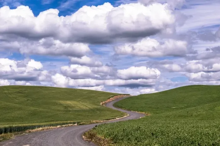 Framed Print : USA, Washington, Palouse, winding road, farm Framed Print : USA, Washington, Palouse, winding road, farm