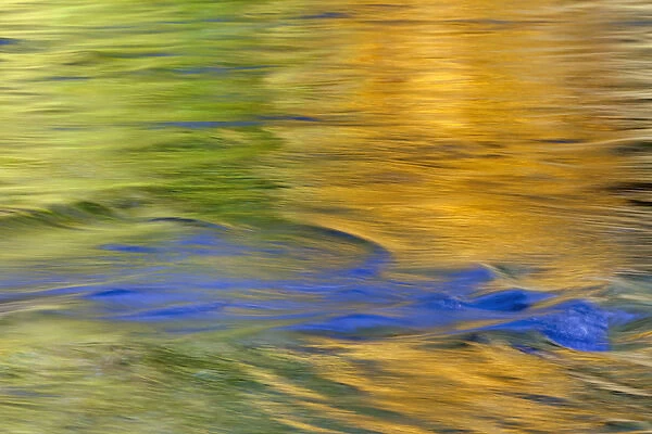 USA, Washington, Quinault. Autumn colors reflect in Quinault River
