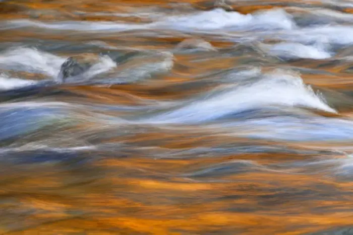 Framed Print : USA, Washington, Quinault. Autumn colors reflect in Quinault River