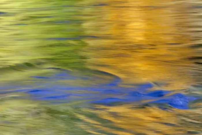 Framed Print : USA, Washington, Quinault. Autumn colors reflect in Quinault River Framed Print : USA, Washington, Quinault. Autumn colors reflect in Quinault River