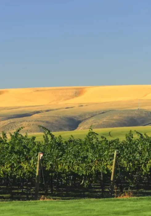 Framed Print : USA, Washington, Richland. Goose Ridge Vineyards and Estate Winery is among Washington s Framed Print : USA, Washington, Richland. Goose Ridge Vineyards and Estate Winery is among Washington s