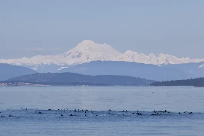 Framed Print : USA, Washington, San Juan Islands. Mount Baker seen from the San Juan Islands. Credit as Framed Print : USA, Washington, San Juan Islands. Mount Baker seen from the San Juan Islands. Credit as