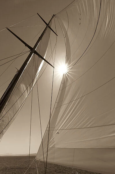 USA, Washington, San Juan Islands. B&W of sunburst on sails