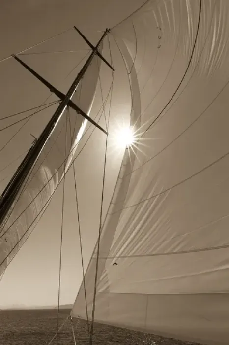 Framed Print : USA, Washington, San Juan Islands. B&W of sunburst on sails Framed Print : USA, Washington, San Juan Islands. B&W of sunburst on sails