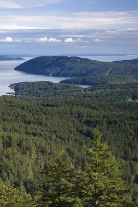 Framed Print : USA, Washington, San Juan Islands, View south from Little Summit in Moran State Park Framed Print : USA, Washington, San Juan Islands, View south from Little Summit in Moran State Park