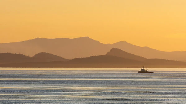 USA, Washington, San Juan Islands. Tugboat at sunset