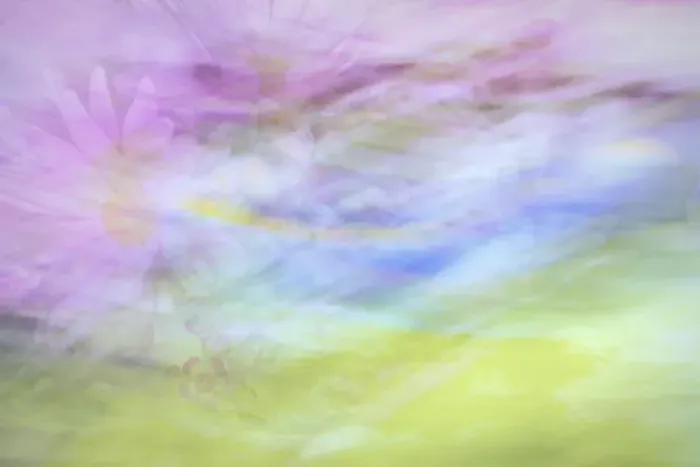 Framed Print : USA, Washington, Seabeck. Abstract of flowers in motion