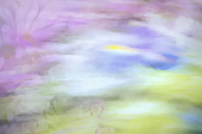 Framed Print : USA, Washington, Seabeck. Abstract of flowers in motion Framed Print : USA, Washington, Seabeck. Abstract of flowers in motion