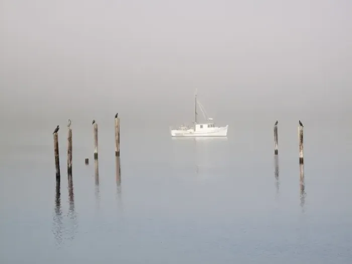 Framed Print : USA, Washington, Seabeck. Birds sit atop pilings in morning fog near anchored boat Framed Print : USA, Washington, Seabeck. Birds sit atop pilings in morning fog near anchored boat