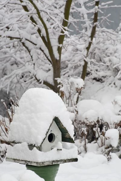 USA, Washington, Seabeck. Close-up of bird house covered in snow. Credit as: Don