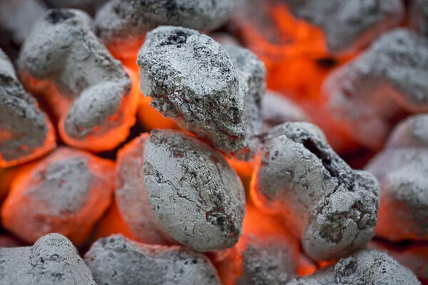 USA, Washington, Seabeck. Close-up of hot charcoal