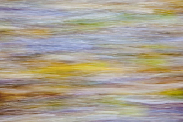USA, Washington, Seabeck. Motion blur of fall leaves on beach