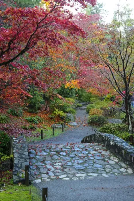 Framed Print : USA, Washington, Seattle, Arboretum, Japanese Garden Framed Print : USA, Washington, Seattle, Arboretum, Japanese Garden