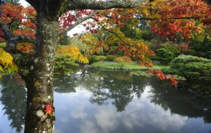 Framed Print : USA, Washington, Seattle, Arboretum, Japanese Garden