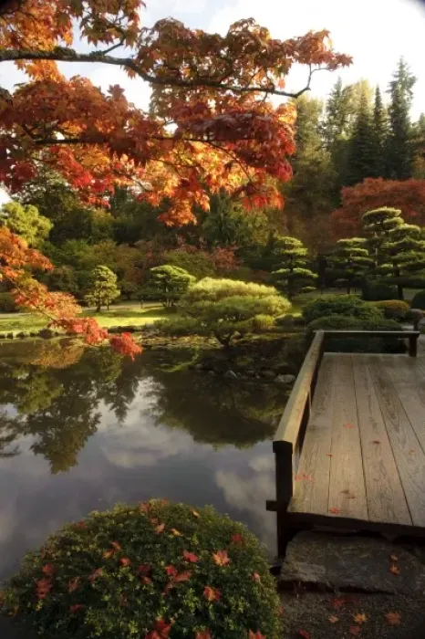 Framed Print : USA, Washington, Seattle, Arboretum, Japanese Garden