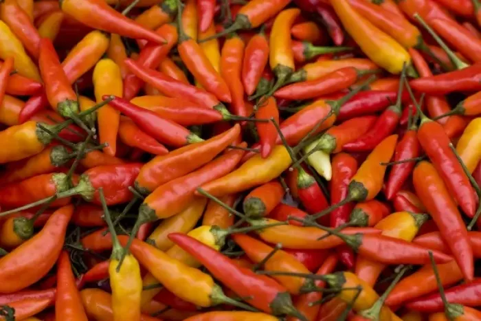 Framed Print : USA; Washington; Seattle; Pike Place Market, Local Peppers Framed Print : USA; Washington; Seattle; Pike Place Market, Local Peppers