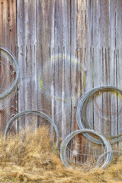 USA, Washington, Silverdale. Wire coiled on barn wall at historic Petersen Farm. Credit as