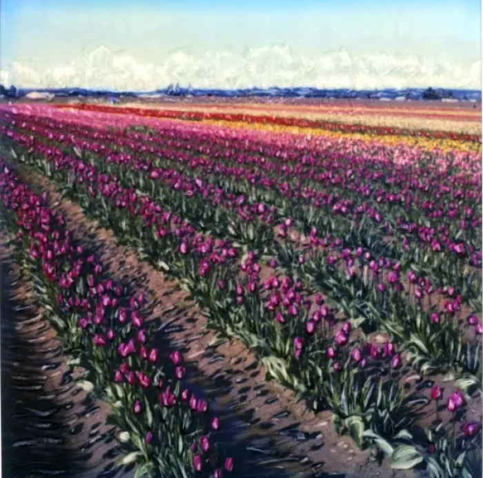 Framed Print : USA, Washington, Skagit Valley. Multi-colored tulip field. Polaroid SX70 Manipulation Framed Print : USA, Washington, Skagit Valley. Multi-colored tulip field. Polaroid SX70 Manipulation