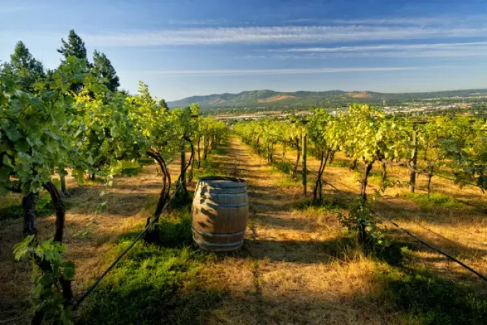 Framed Print : USA, Washington, Spokane. The family-owned Arbor Crest Wine Cellars in Spokane Framed Print : USA, Washington, Spokane. The family-owned Arbor Crest Wine Cellars in Spokane